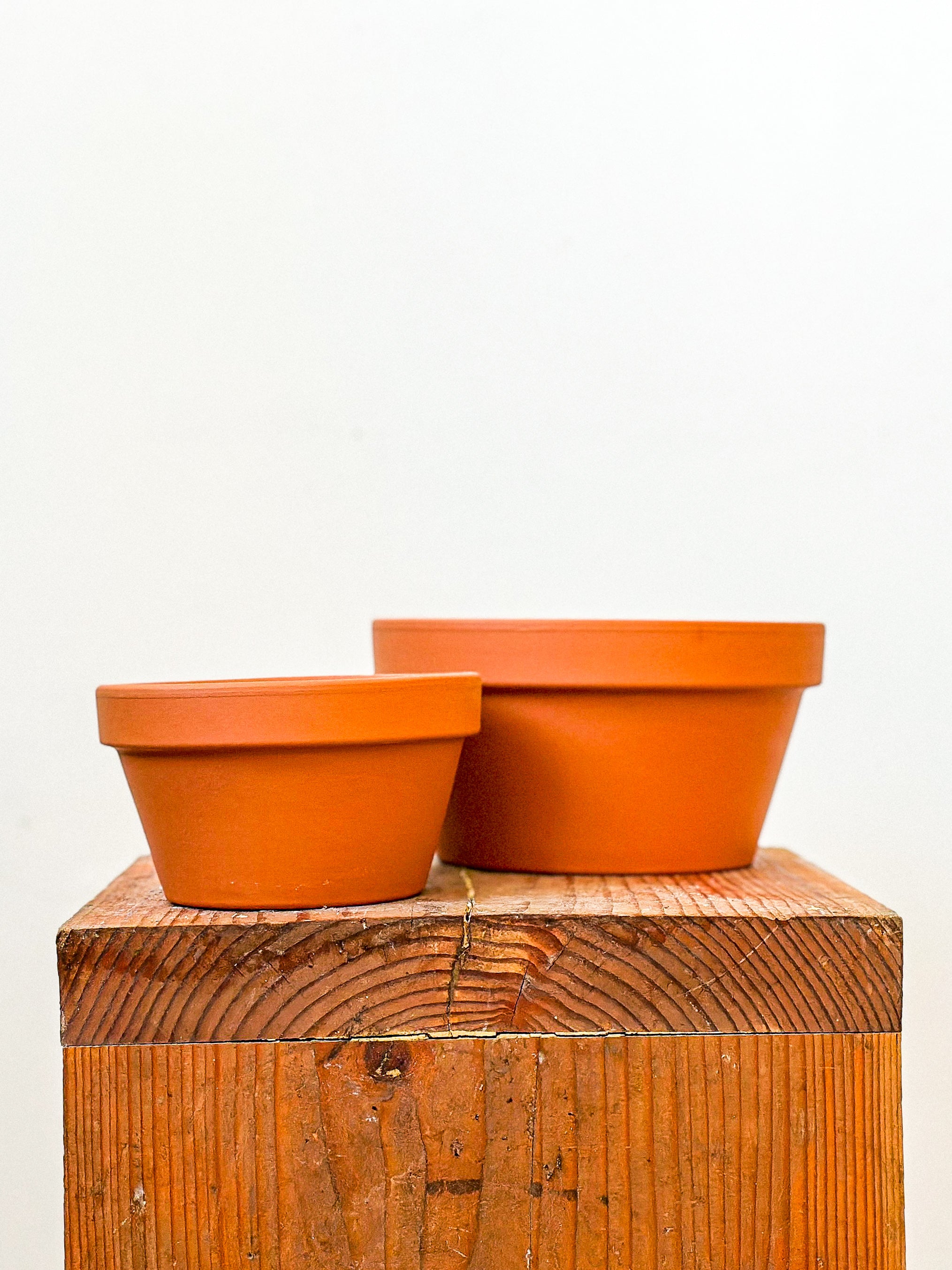 Terracotta Planter