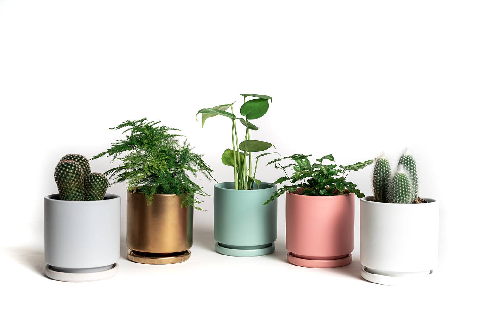 Momma Pots - 8.25" Gemstone Cylinder Pots with Water Saucers: Top Half Mustard