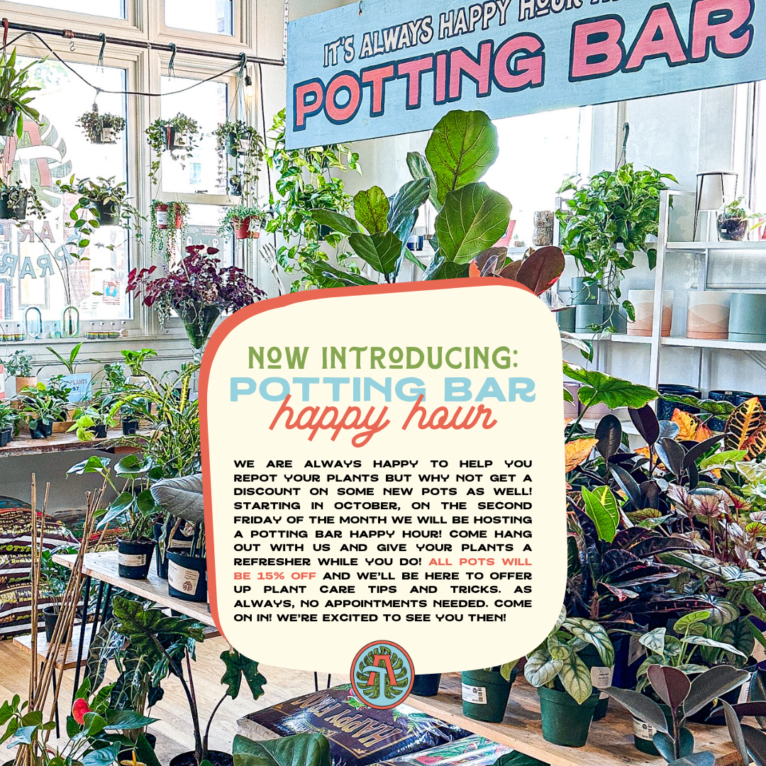 Potting Bar Happy Hour | 4-7pm