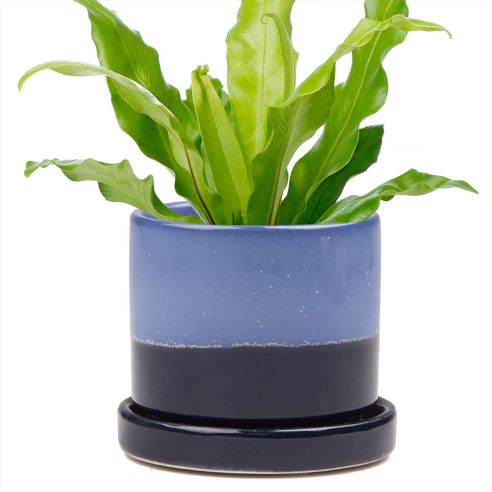 Chive - Minute Ceramic Plant Pots Indoor: Blue Layers / 3"