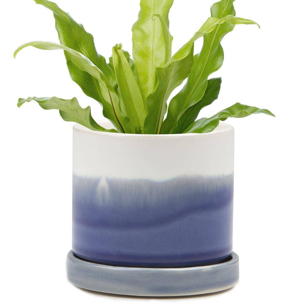 Chive - Minute Ceramic Plant Pots Indoor: Cobalt Blue / 3"