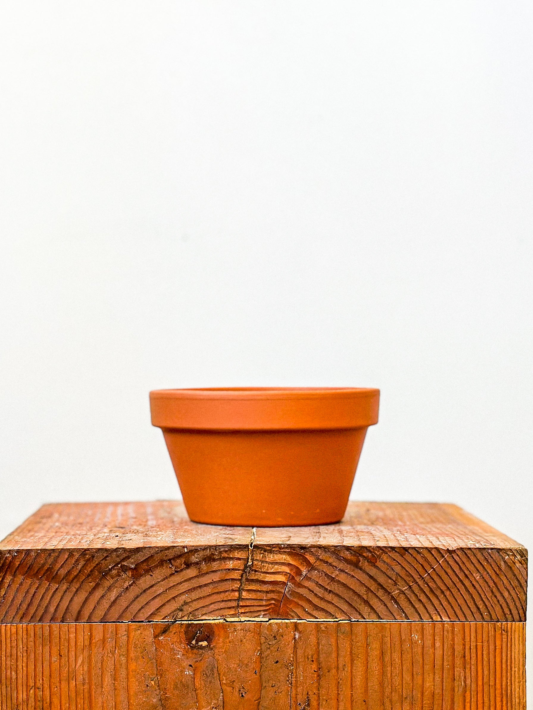 Terracotta Planter