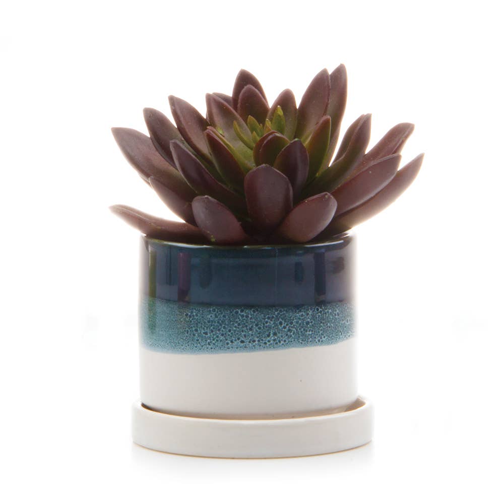 Chive - Minute Ceramic Plant Pots Indoor: Burgundy / 3"