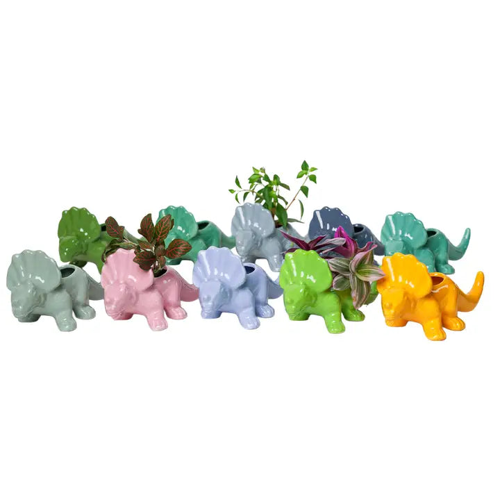 Chive - Dinosaur Pot