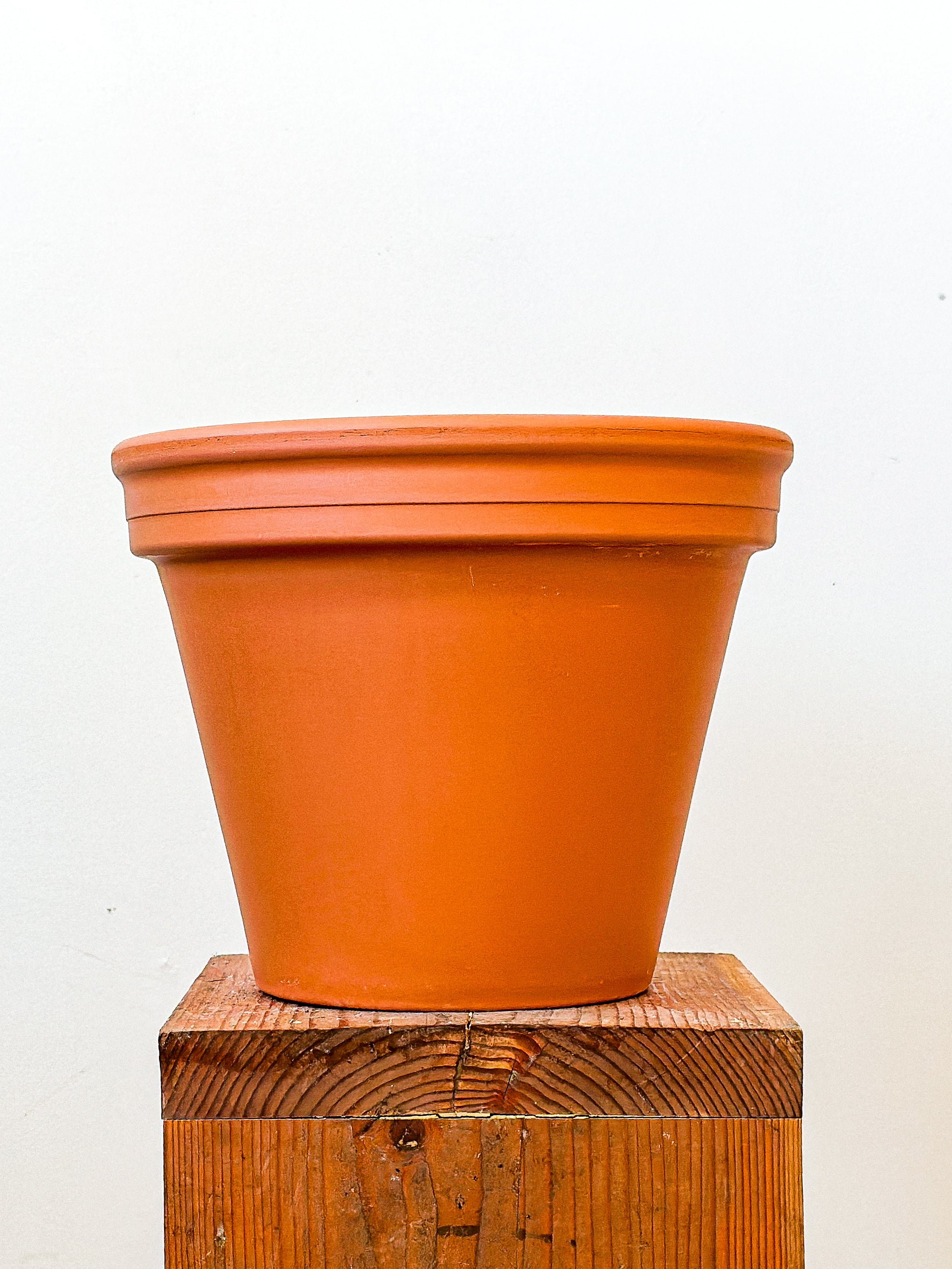 Terracotta Planter
