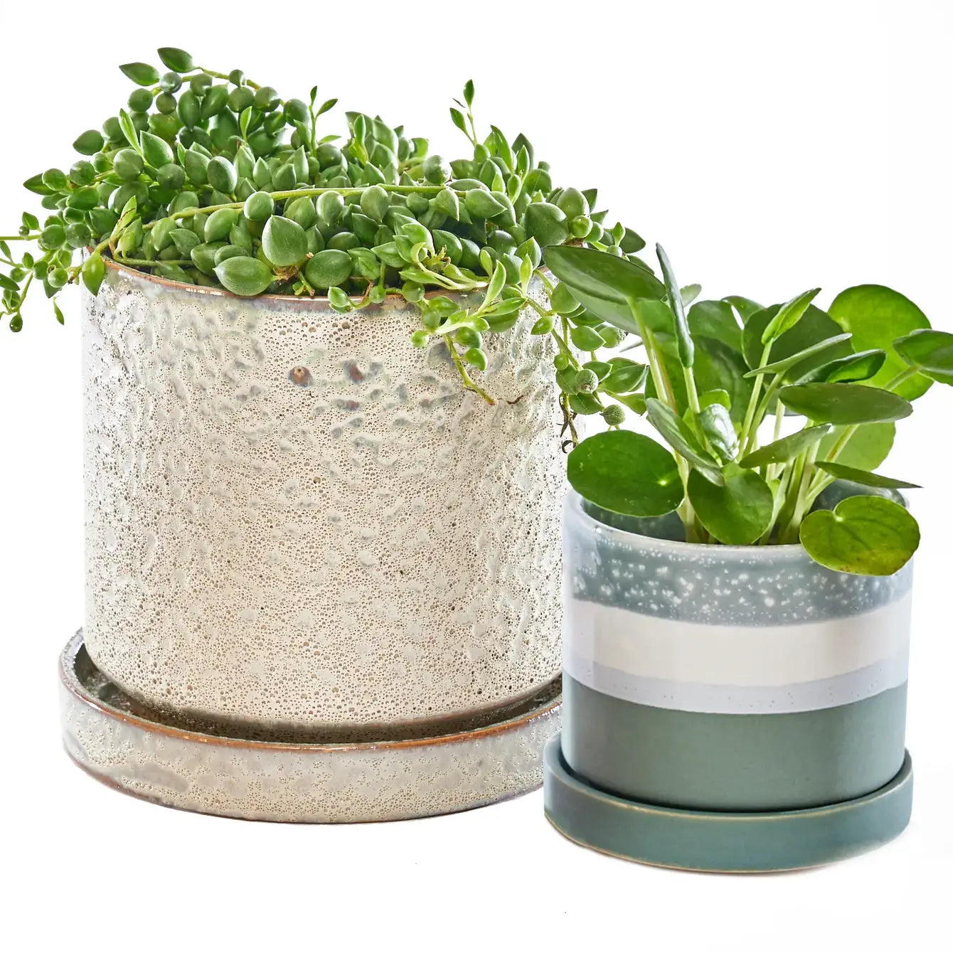Chive - Minute Ceramic Plant Pots Indoor: Boombastic / 5"