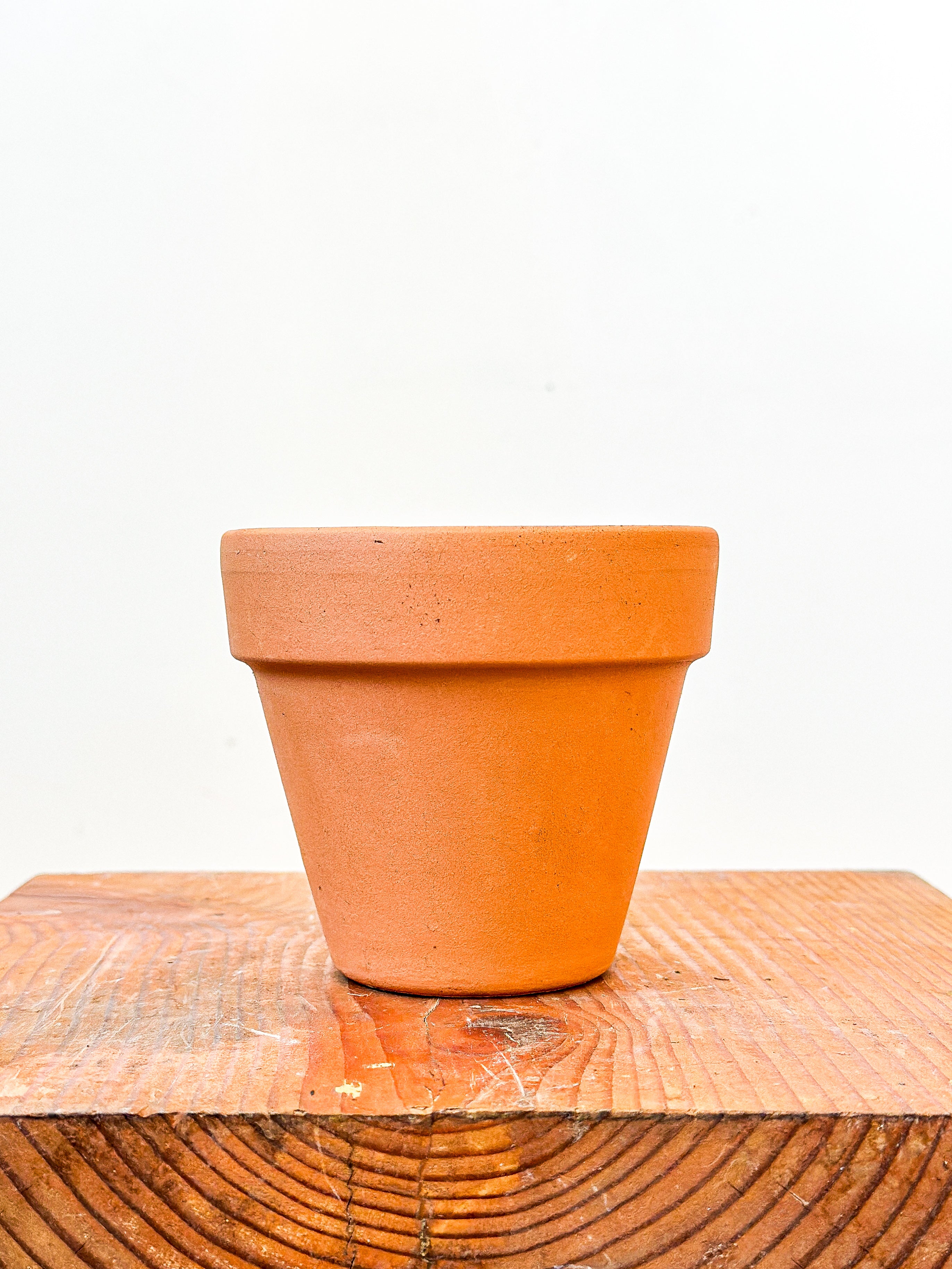 Terracotta Planter
