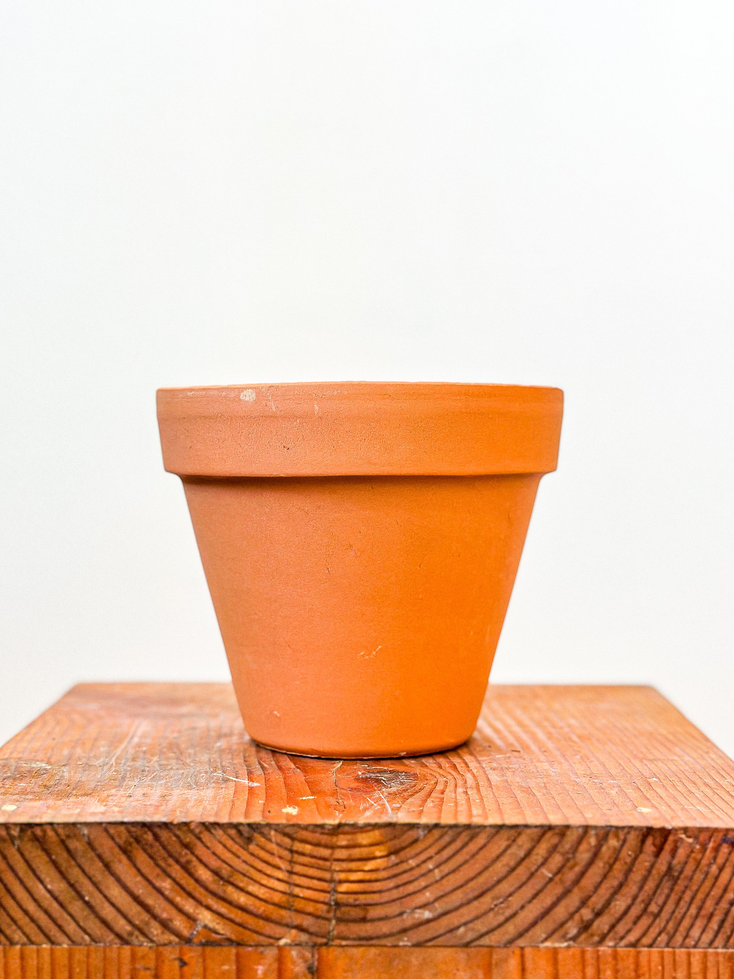 Terracotta Planter