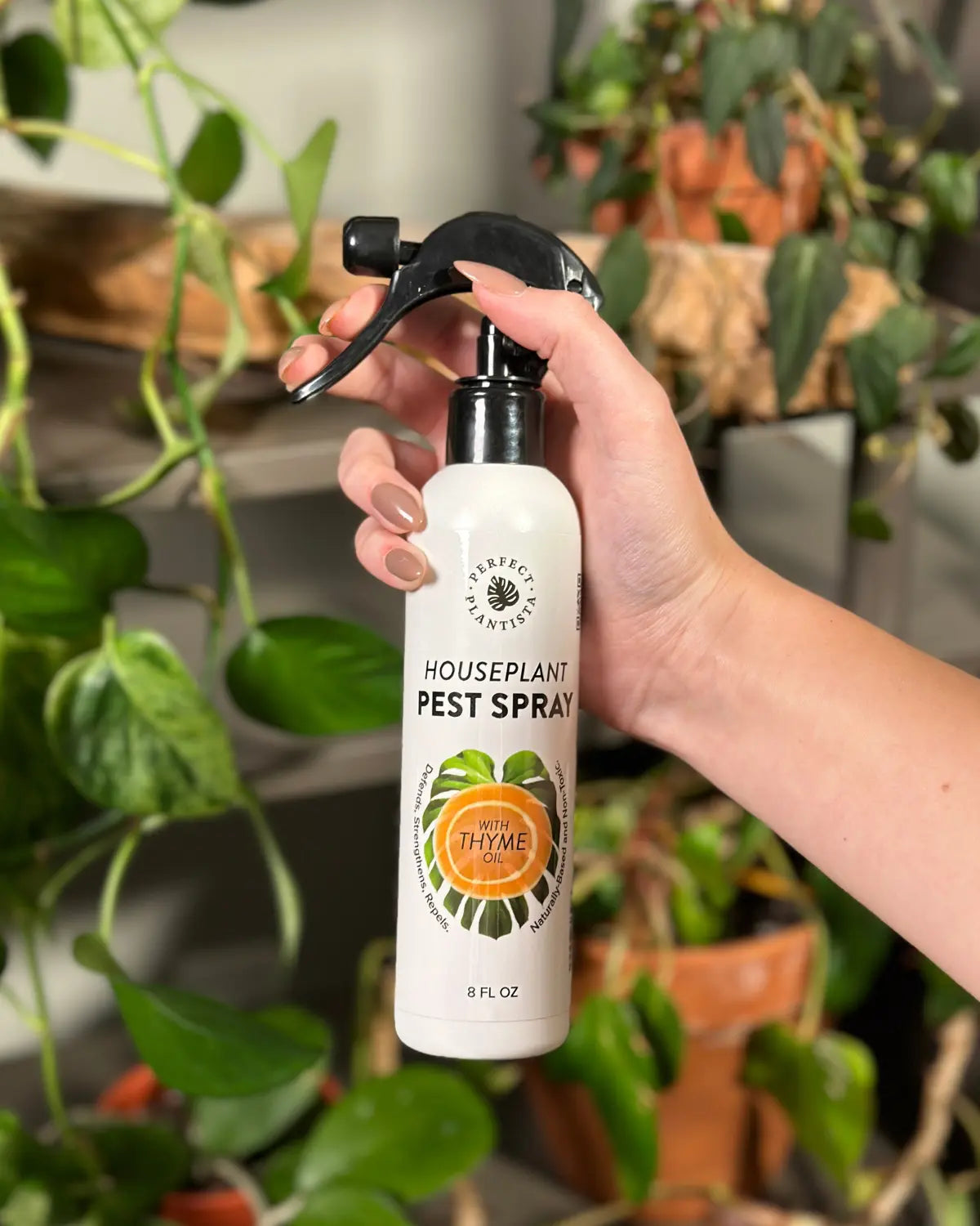 pot plant insecticide Perfect Plantista Insecticide