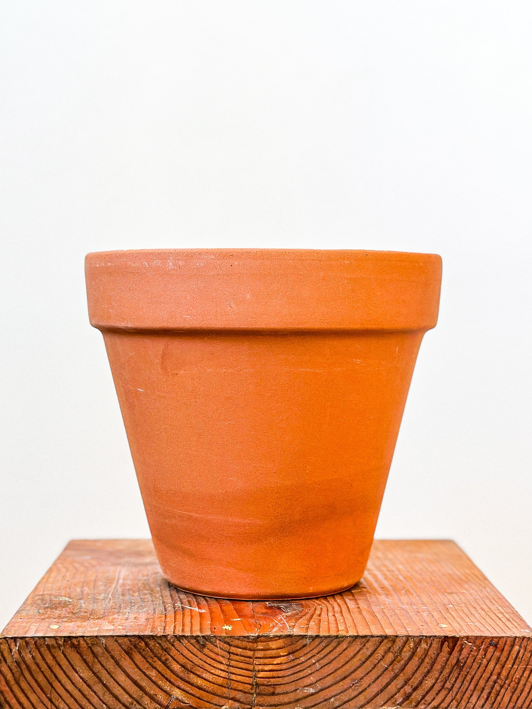 Terracotta Planter
