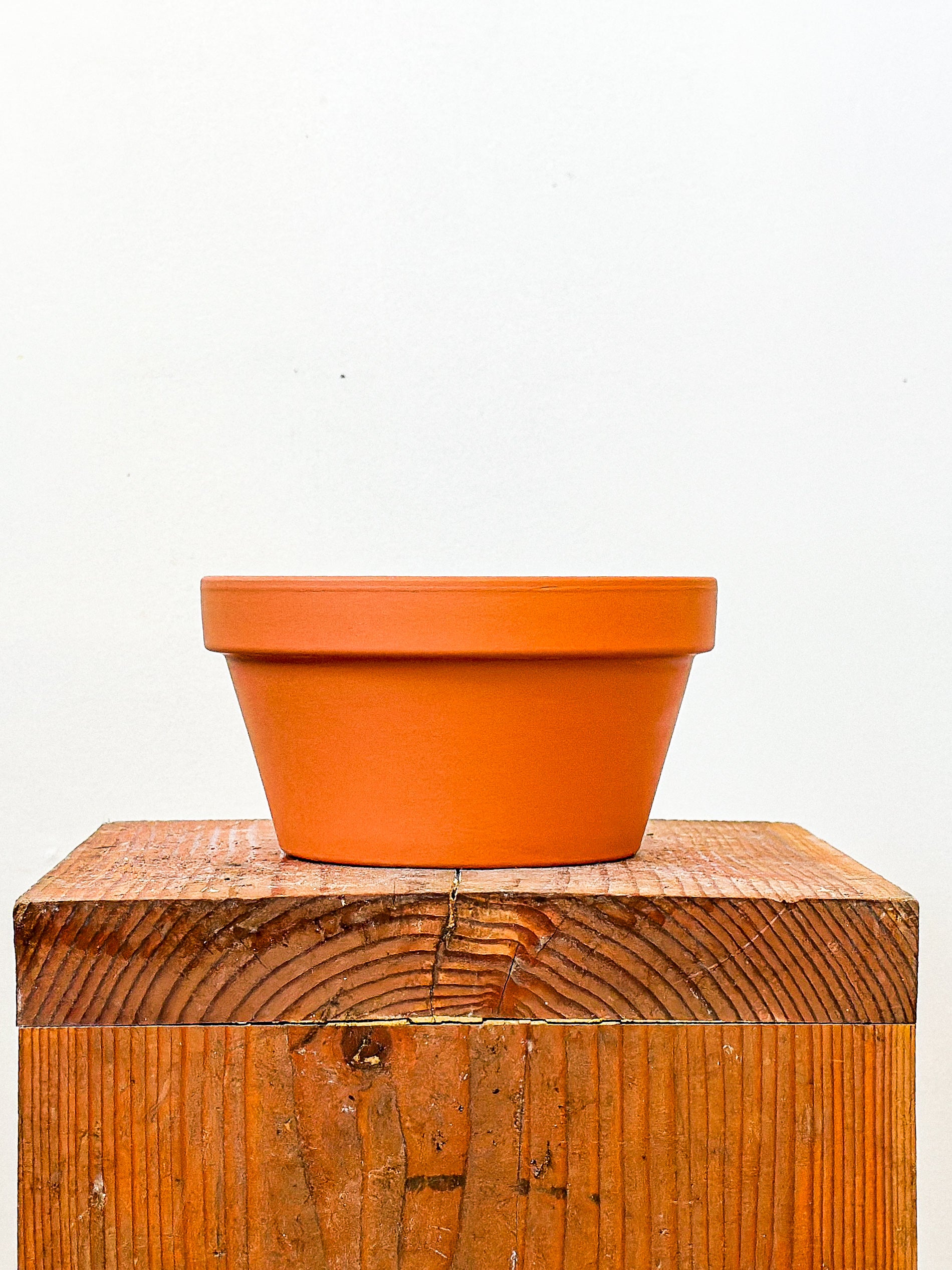 Terracotta Planter
