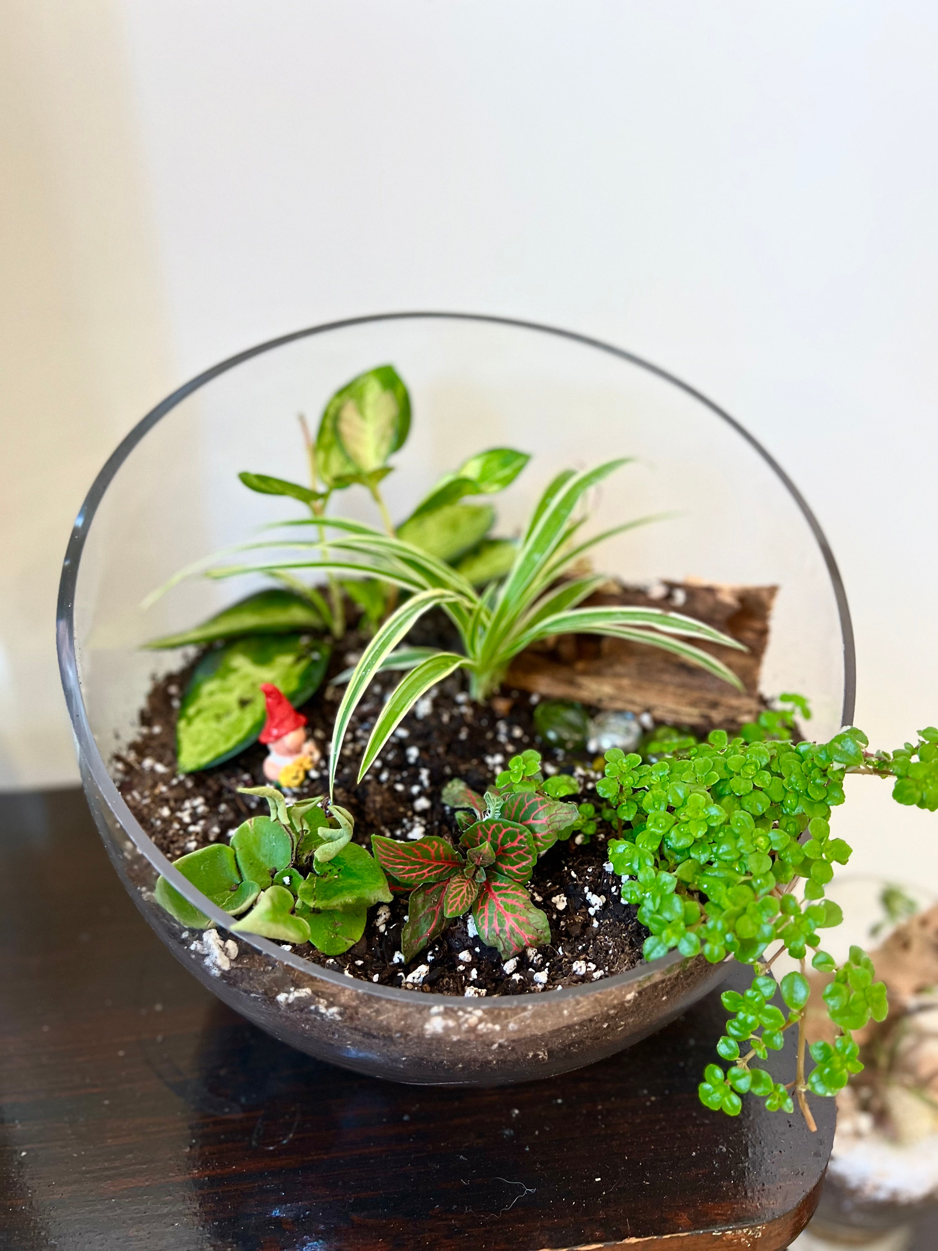 Terrarium Building Workshop | Private Event