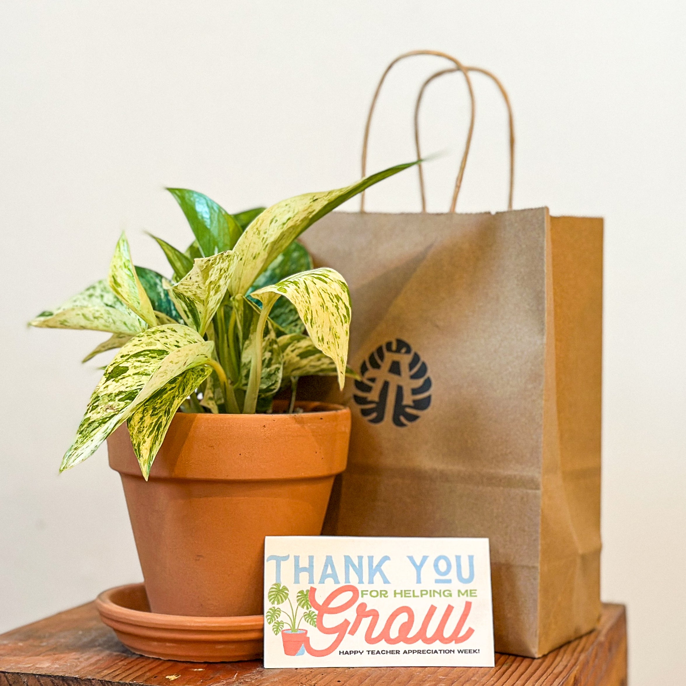 PRE-ORDER: Teacher Appreciation Plant + Planter