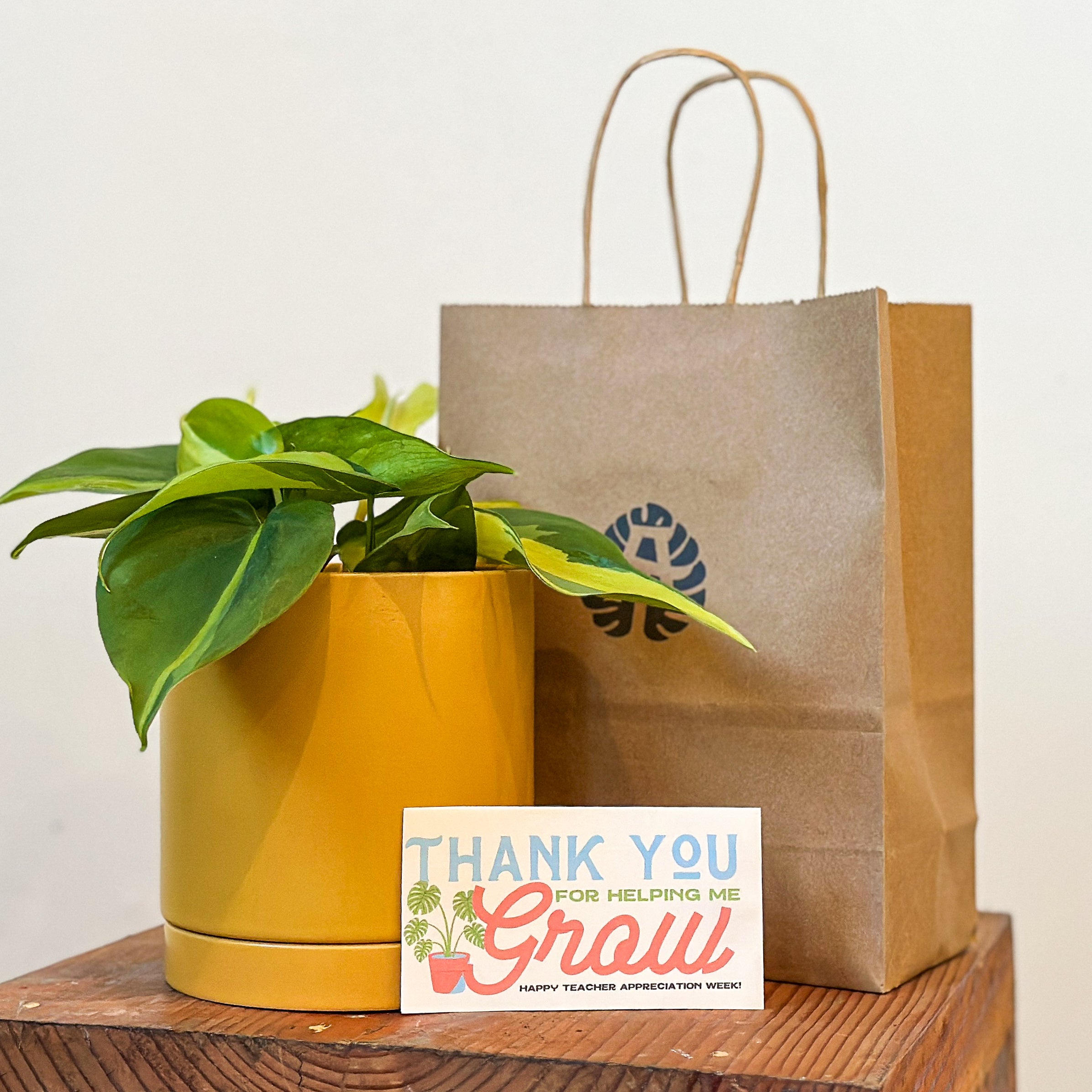 PRE-ORDER: Teacher Appreciation Plant + Planter