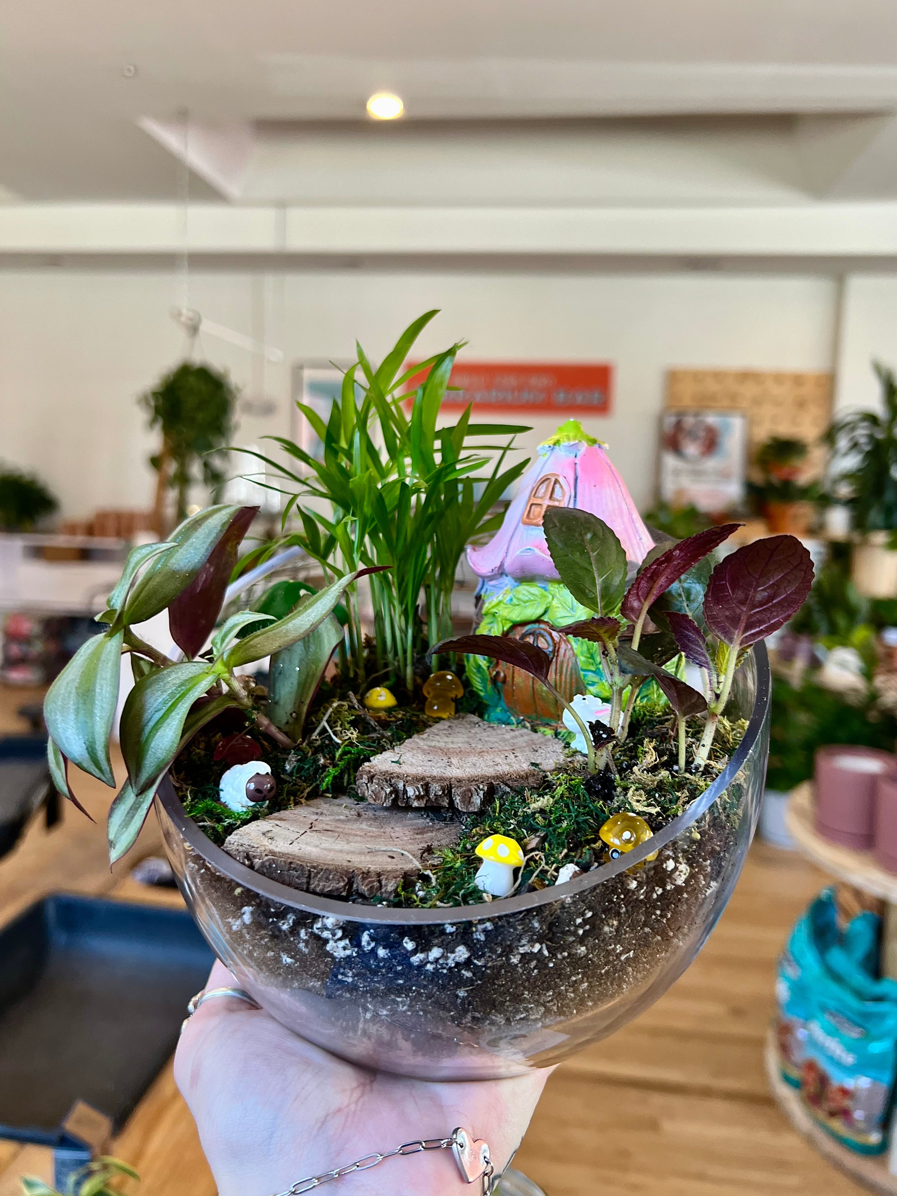 house plant workshop Terrarium Building Workshop