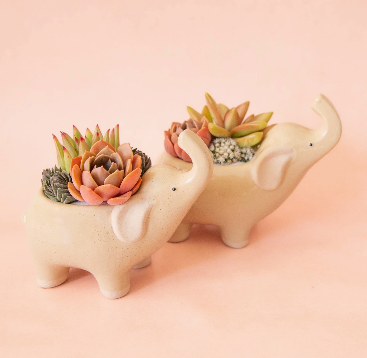 Jungle Club Elephant Planter