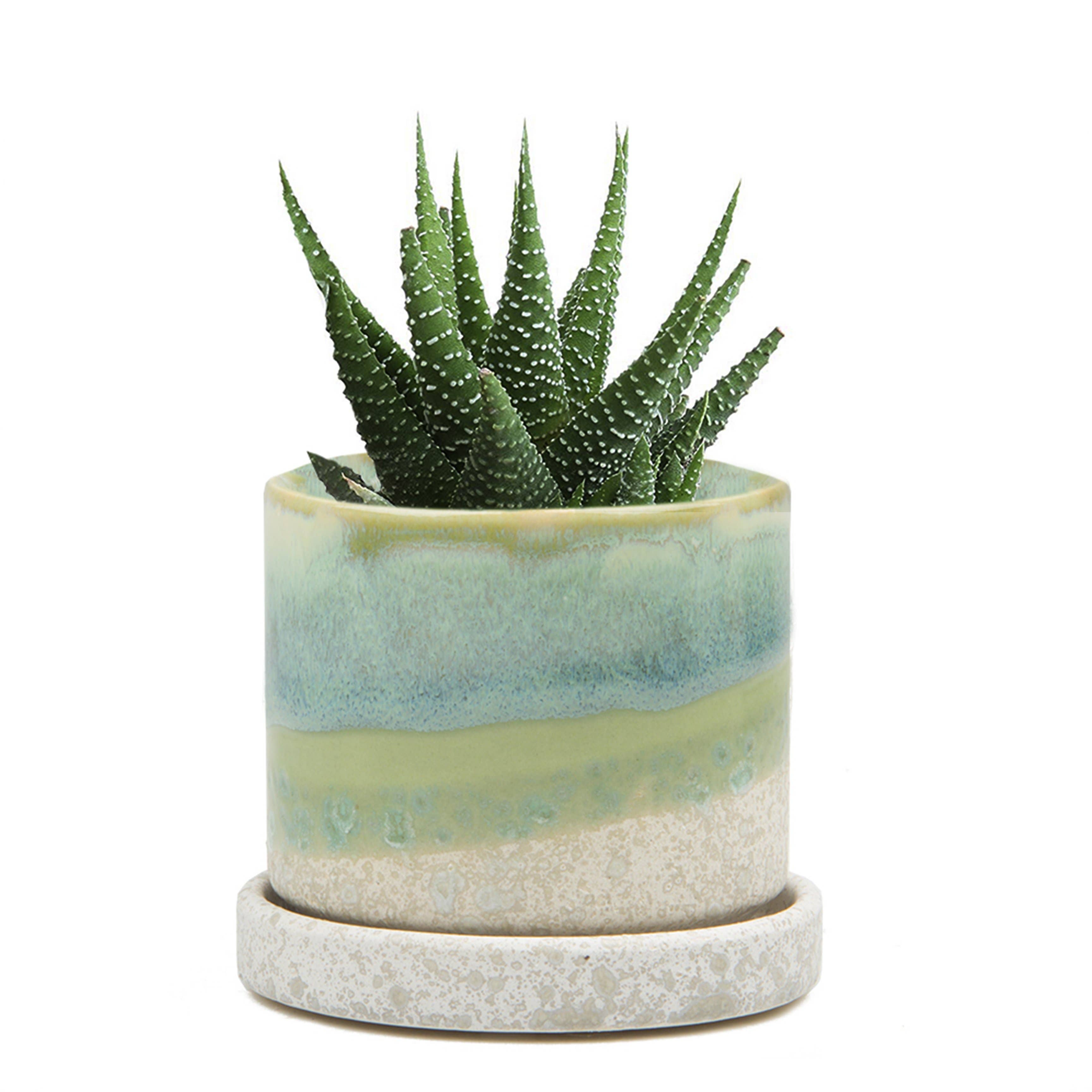 Chive - Minute Ceramic Plant Pots Indoor: Bronze Speckles / 5"