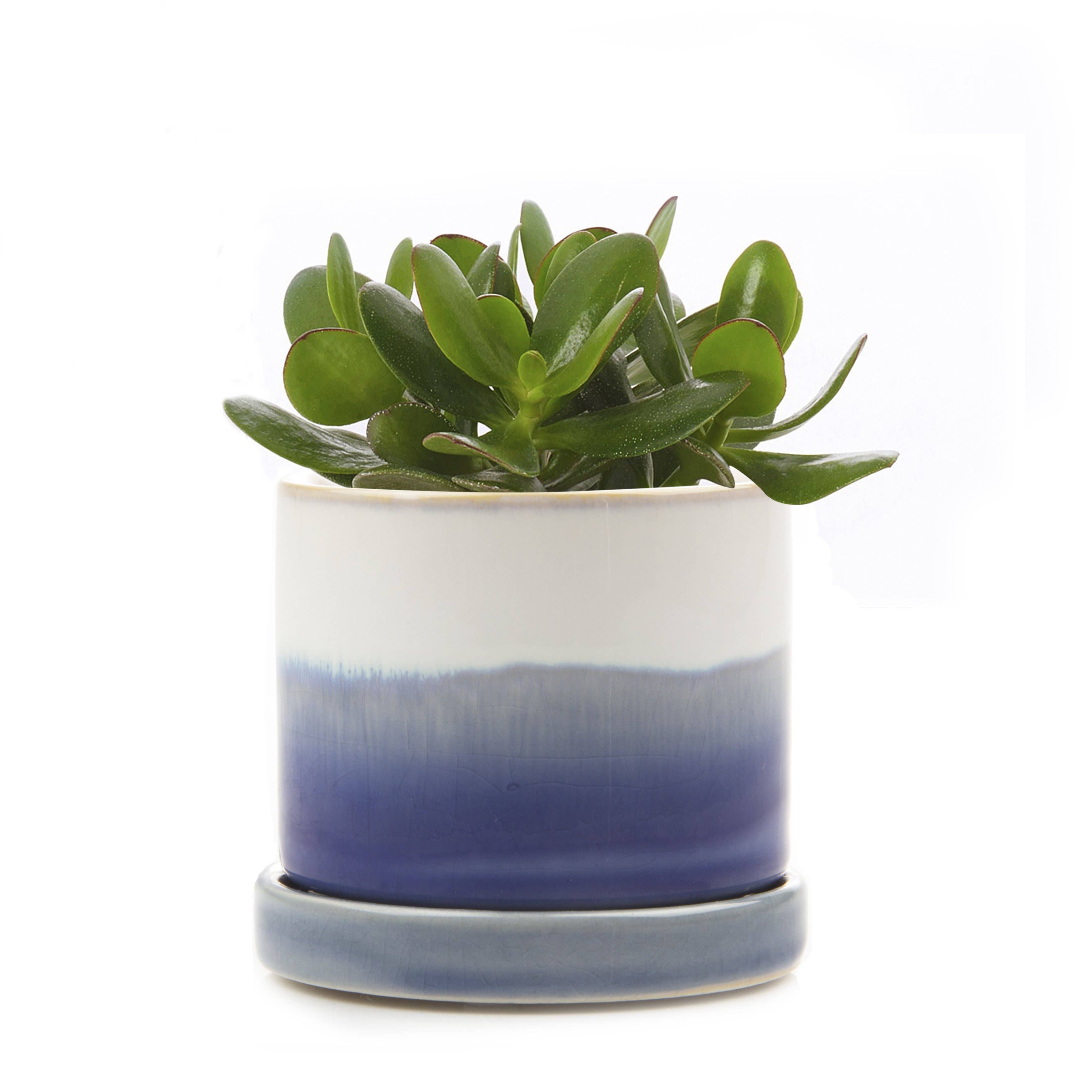 Chive - Minute Ceramic Plant Pots Indoor: Green Blue / 3"