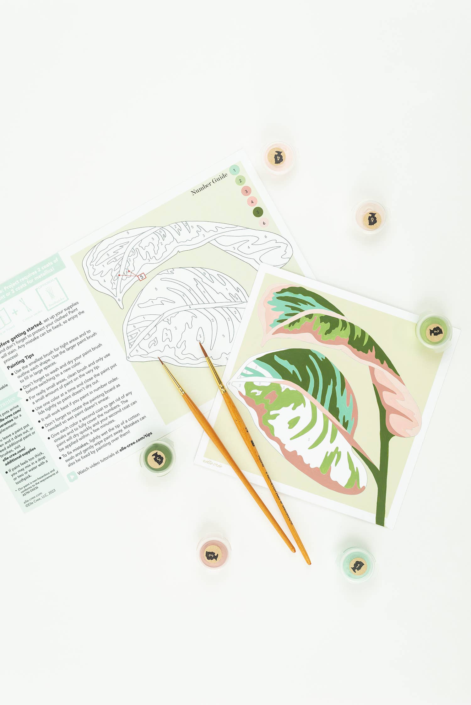 Elle Crée (She Creates) - Rubber Plant Leaves MINI Paint-by-Number Kit