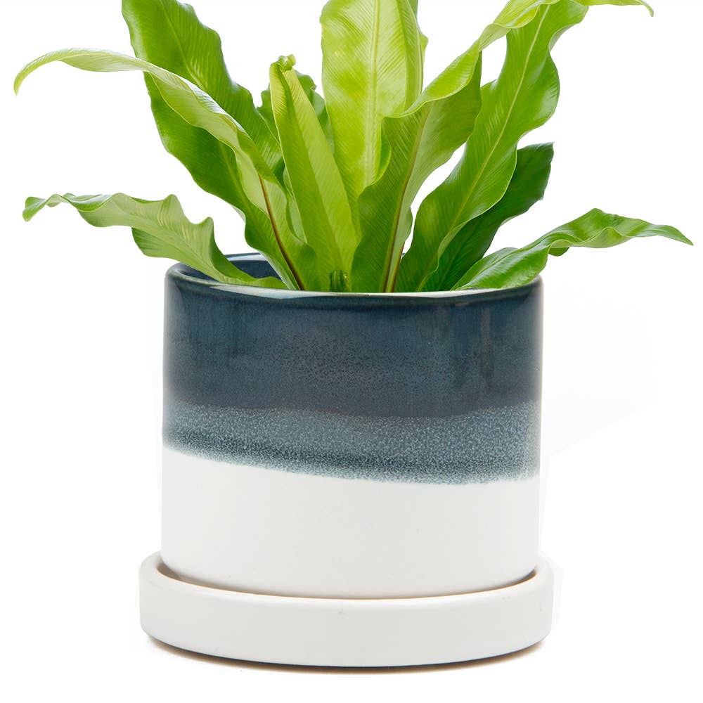 Chive - Minute Ceramic Plant Pots Indoor: Blue Layers / 3"