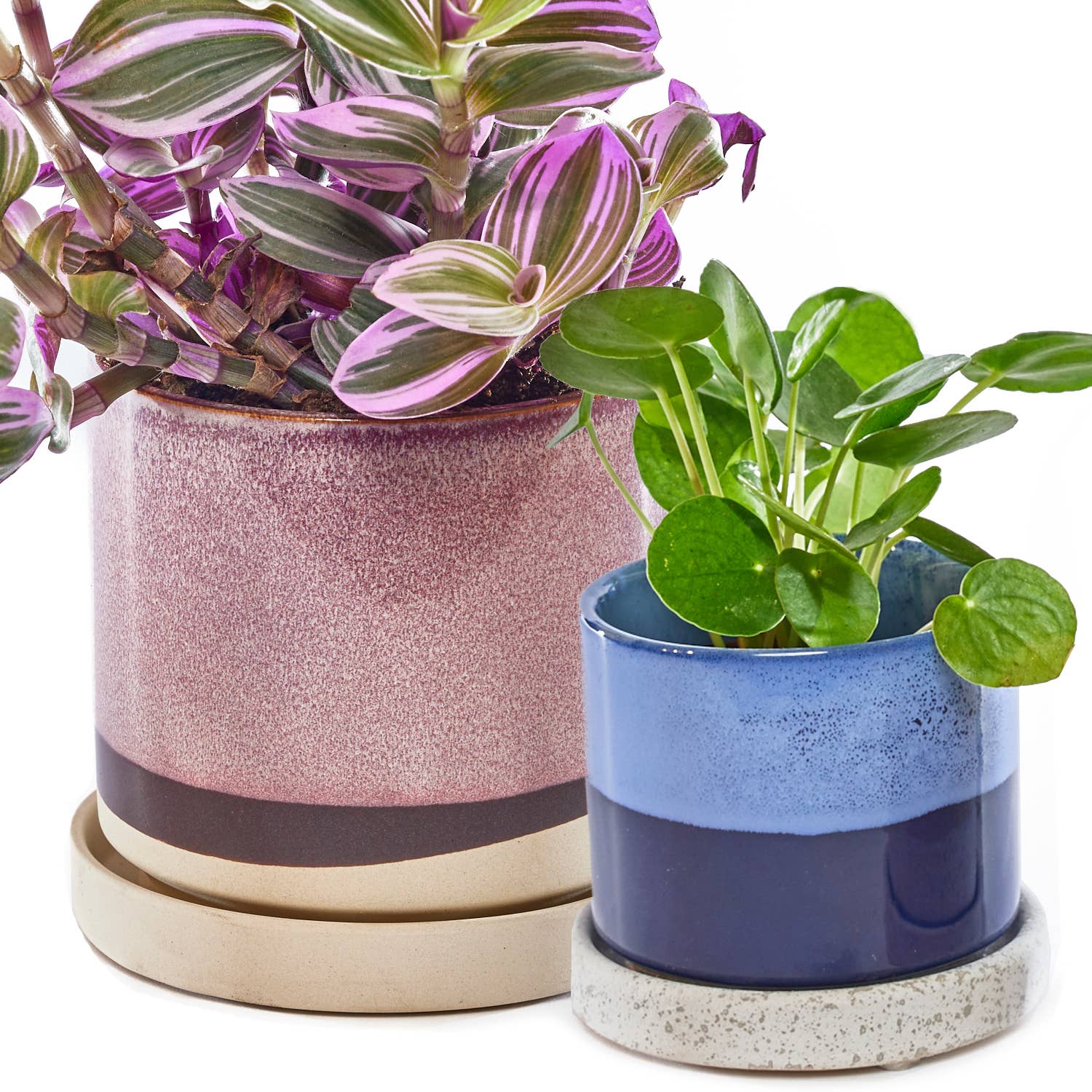 Chive - Minute Ceramic Plant Pots Indoor: Green Layers / 3"