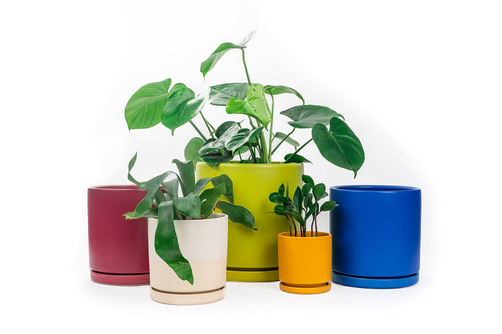 Momma Pots - 6.5" Gemstone Cylinder Pots with Water Saucers: Granite