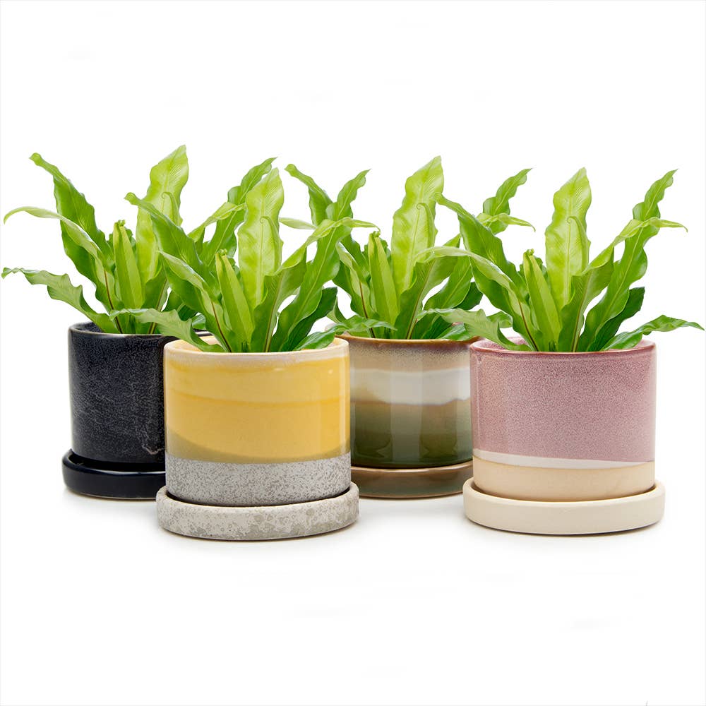 Chive - Minute Ceramic Plant Pots Indoor: Bronze Speckles / 3"