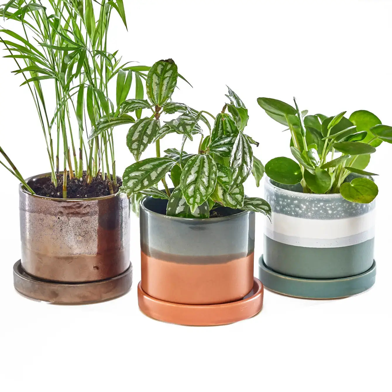 Chive - Minute Ceramic Plant Pots Indoor: Boombastic / 5"