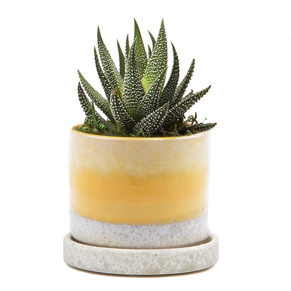 Chive - Minute Ceramic Plant Pots Indoor: Ivory Speckles / 3"