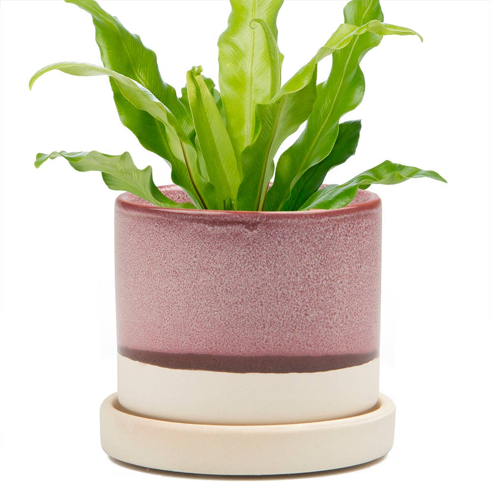 Chive - Minute Ceramic Plant Pots Indoor: Blue Layers / 5"