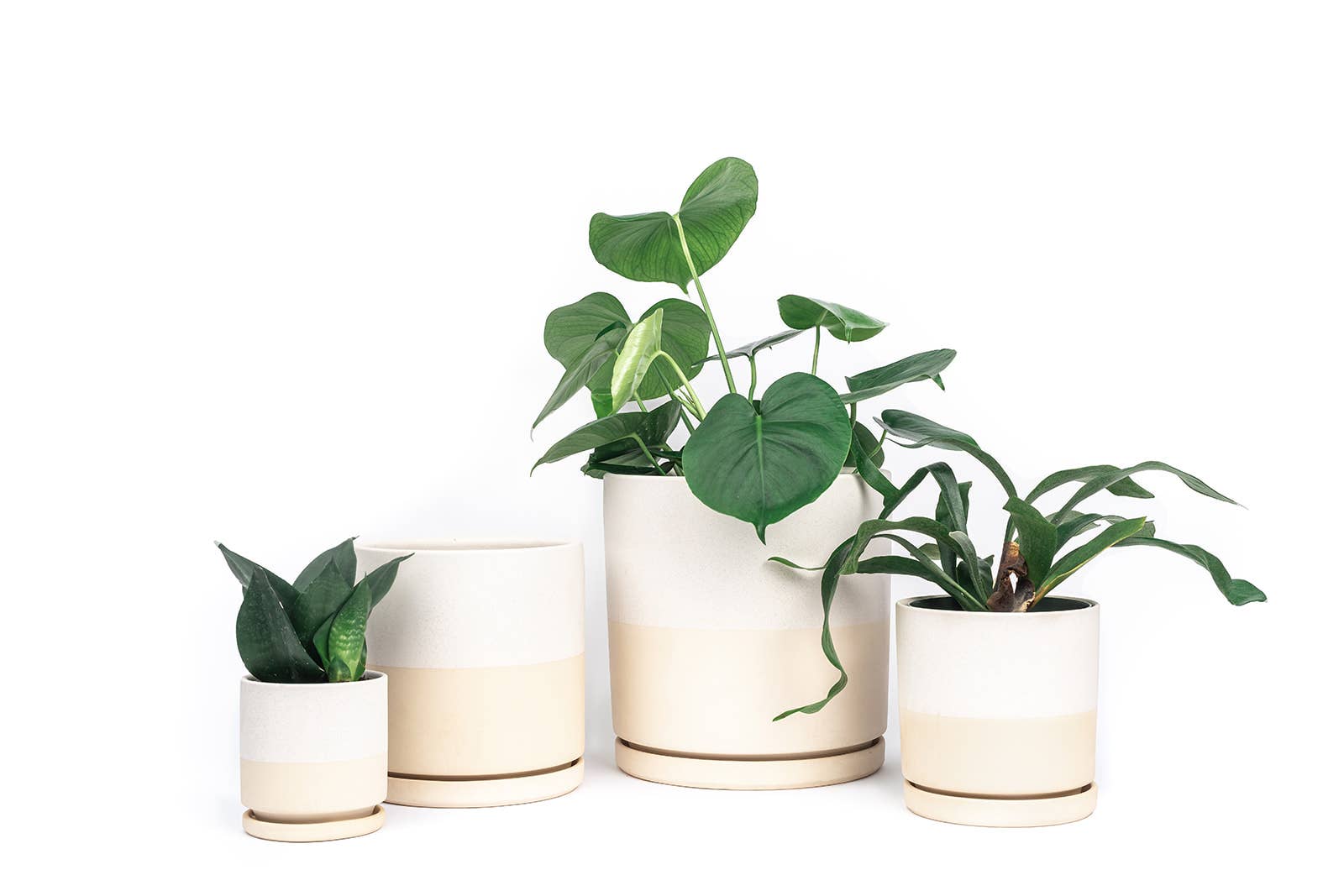 Momma Pots - 6.5" Gemstone Cylinder Pots with Water Saucers: Top Half Dusty Rose
