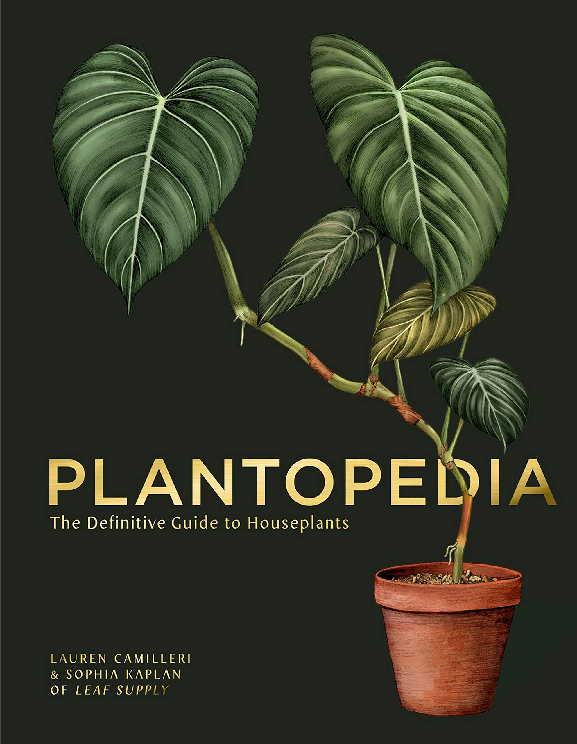 Plantopedia: The Definitive Guide to Houseplants (Hardcover)