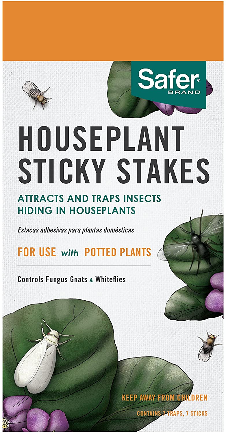 Houseplant Sticky Stakes
