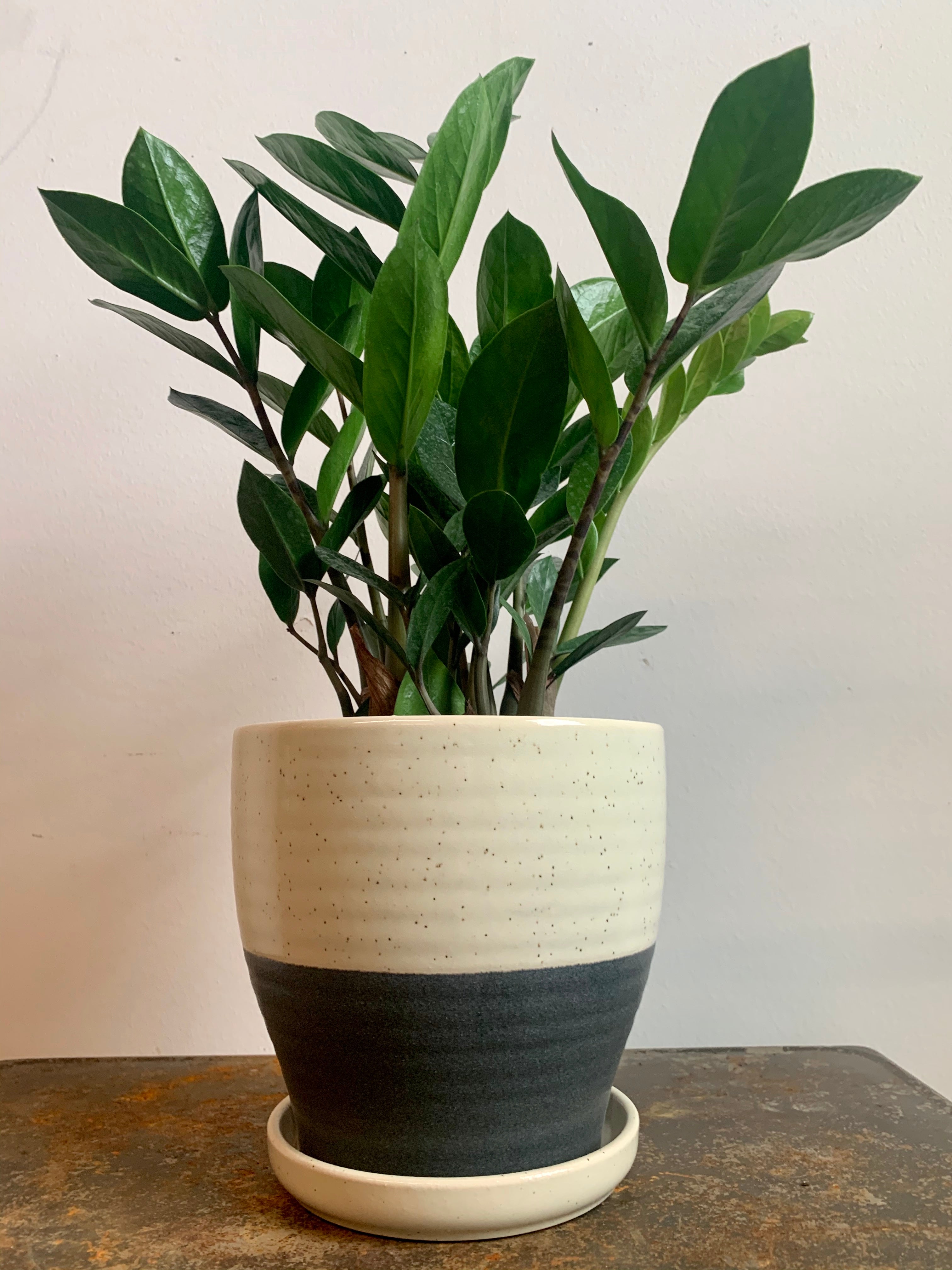 Torun Planter
