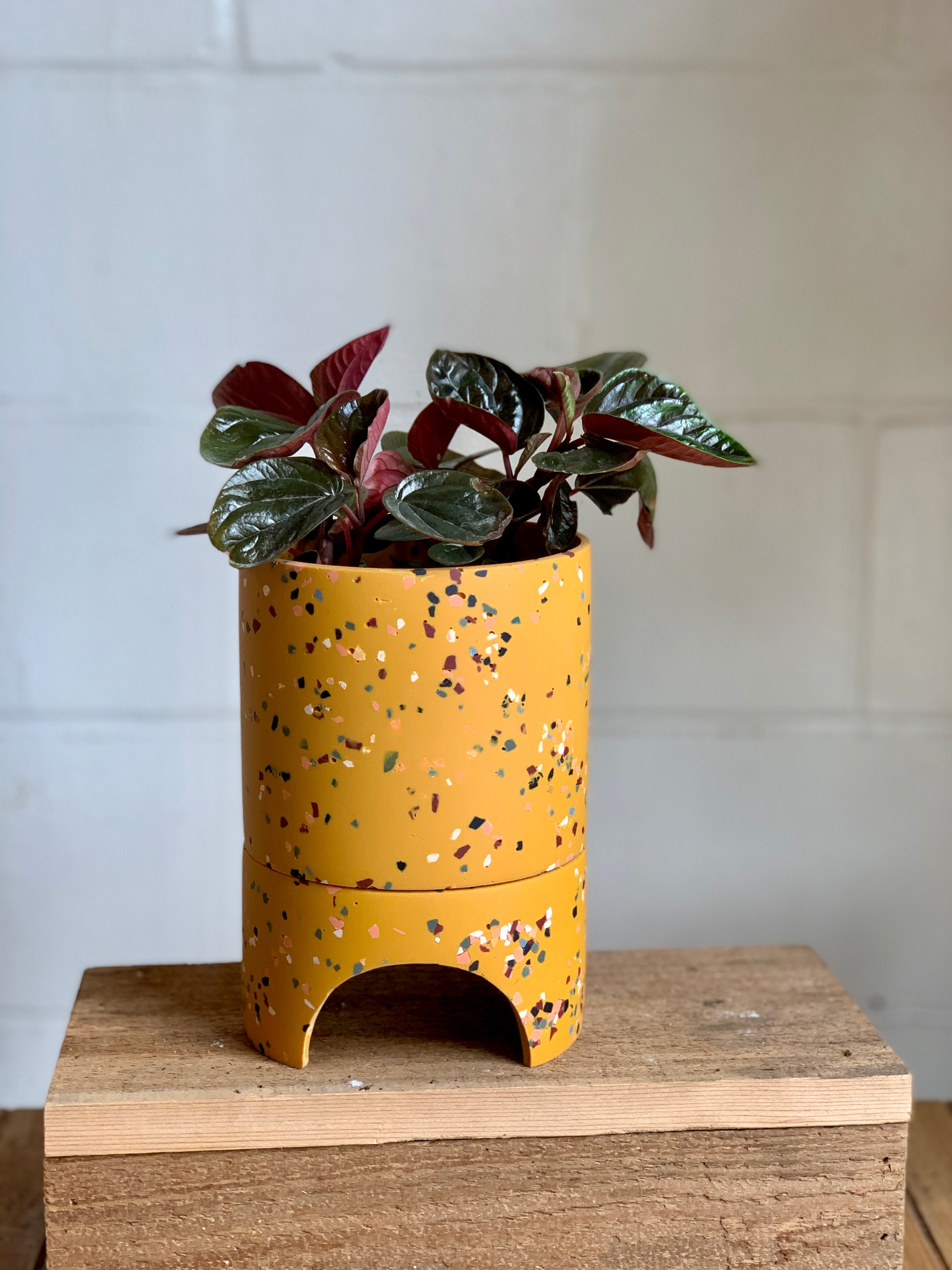 Capra Designs Plant Vessels