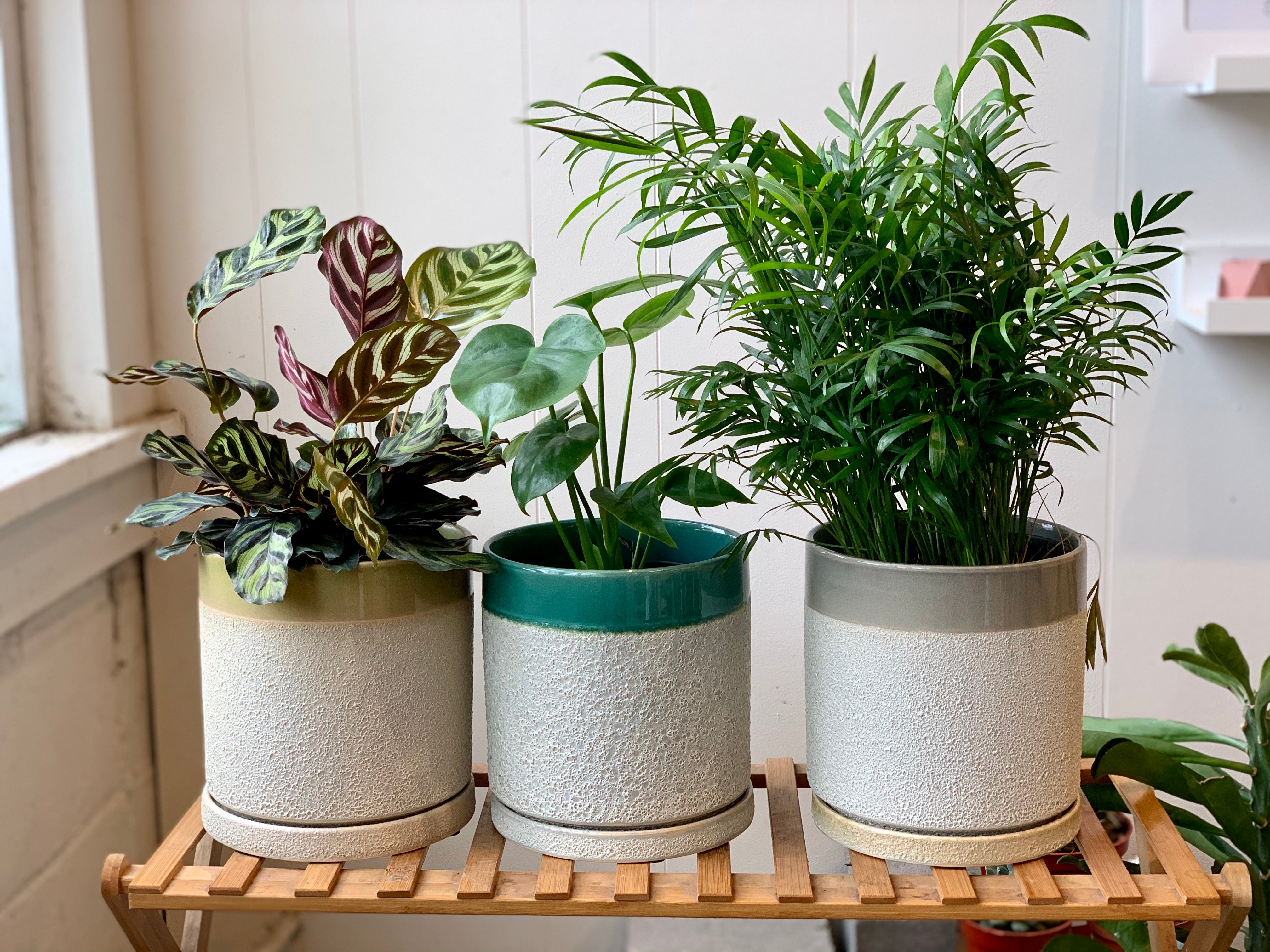 Austin Planter