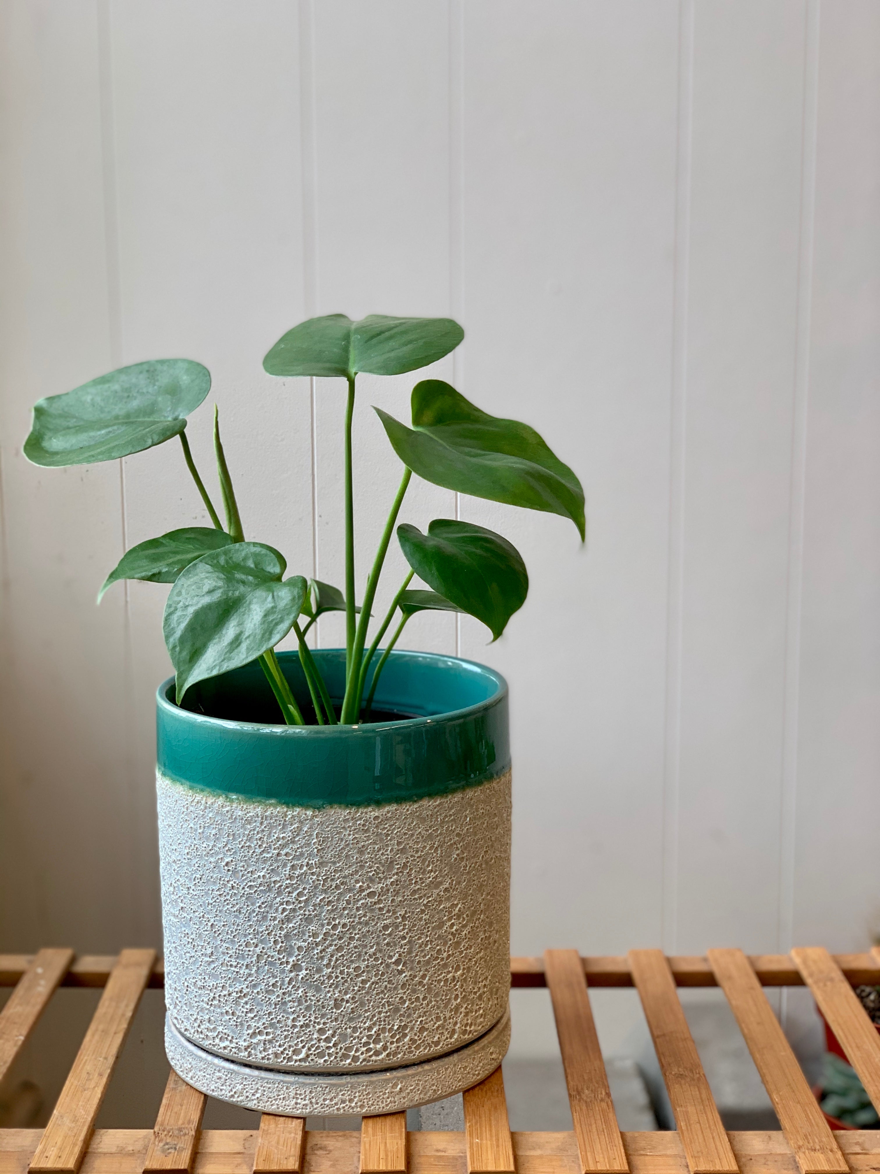 Austin Planter