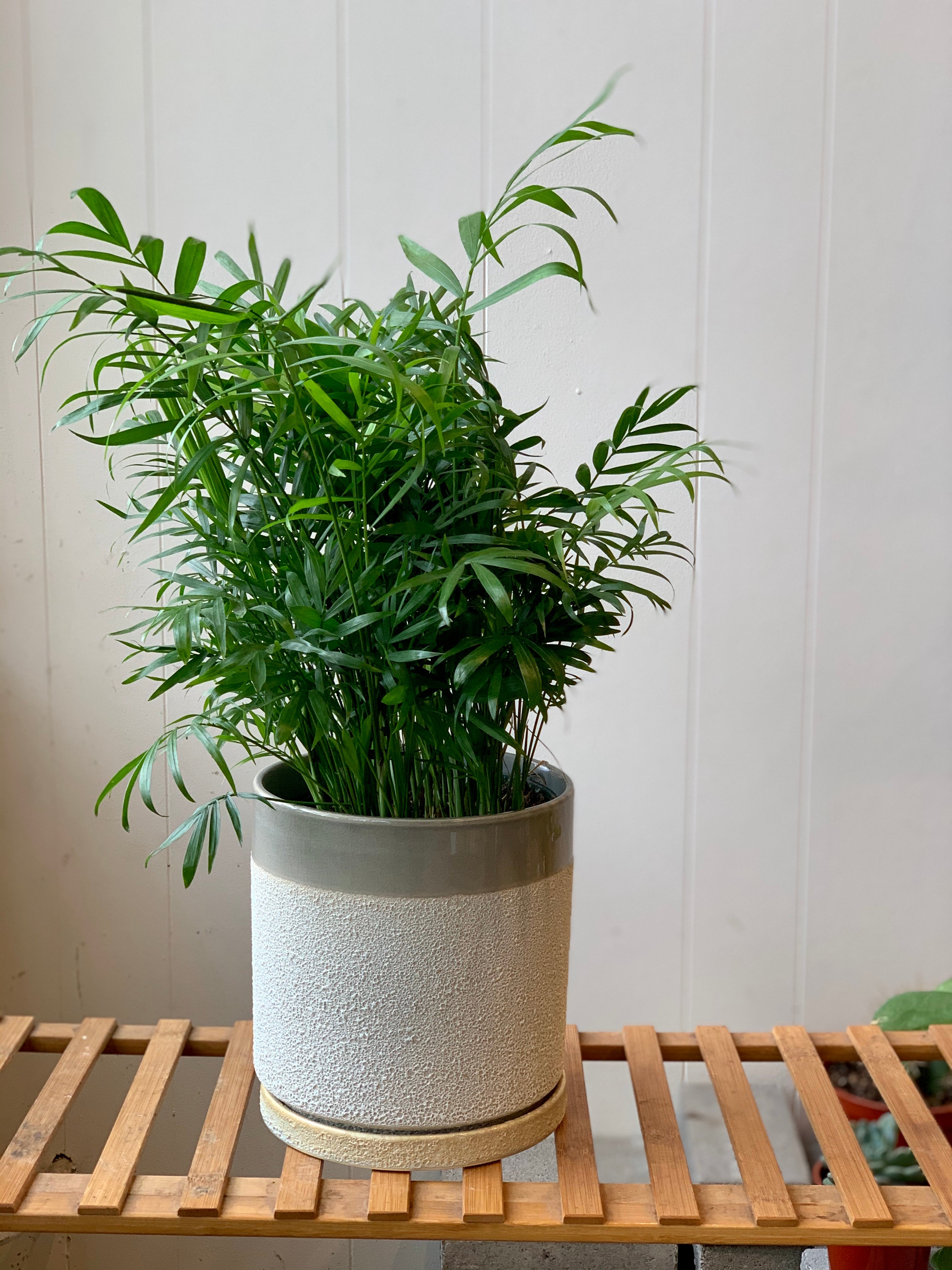 Austin Planter