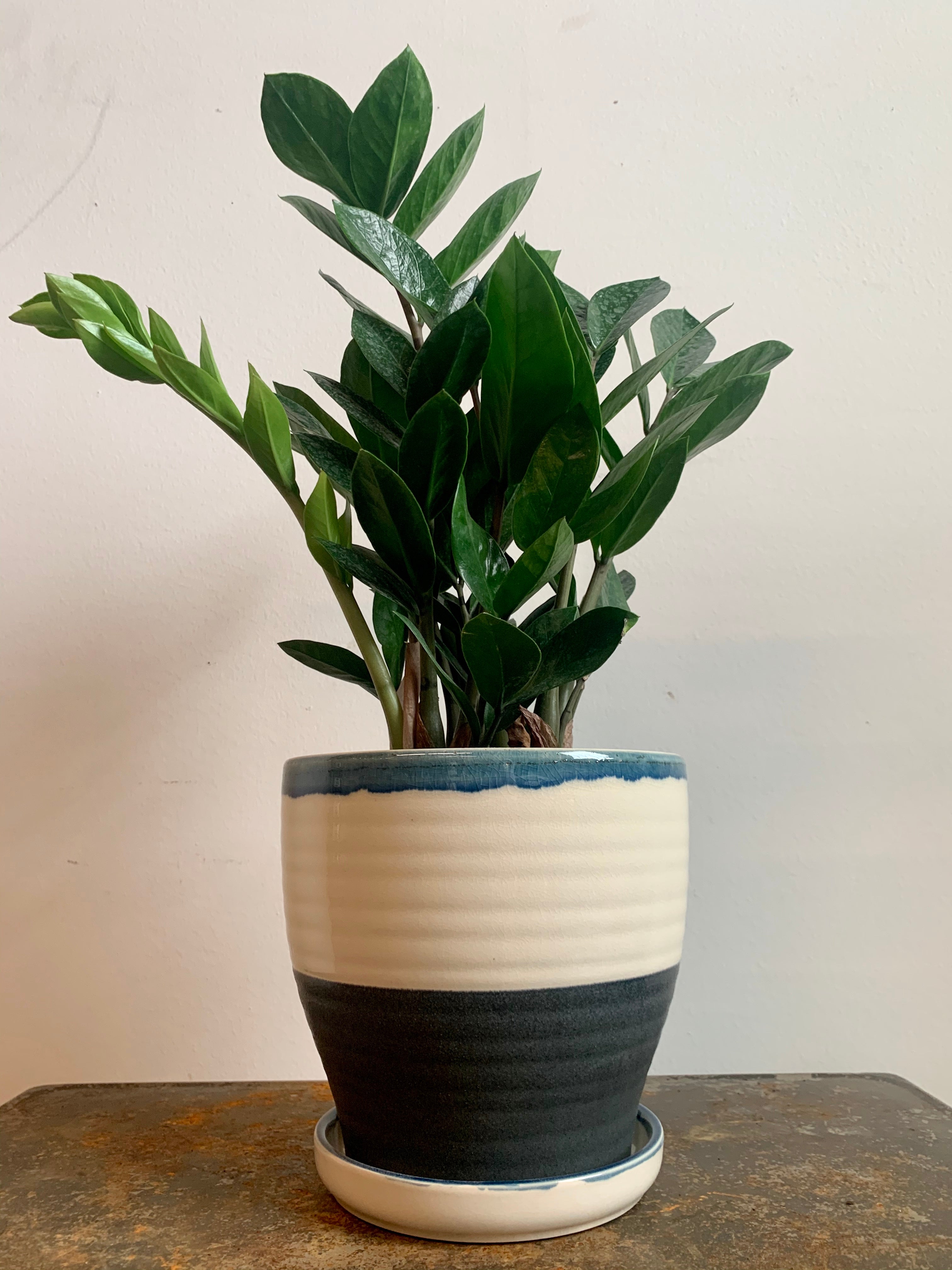 Torun Planter