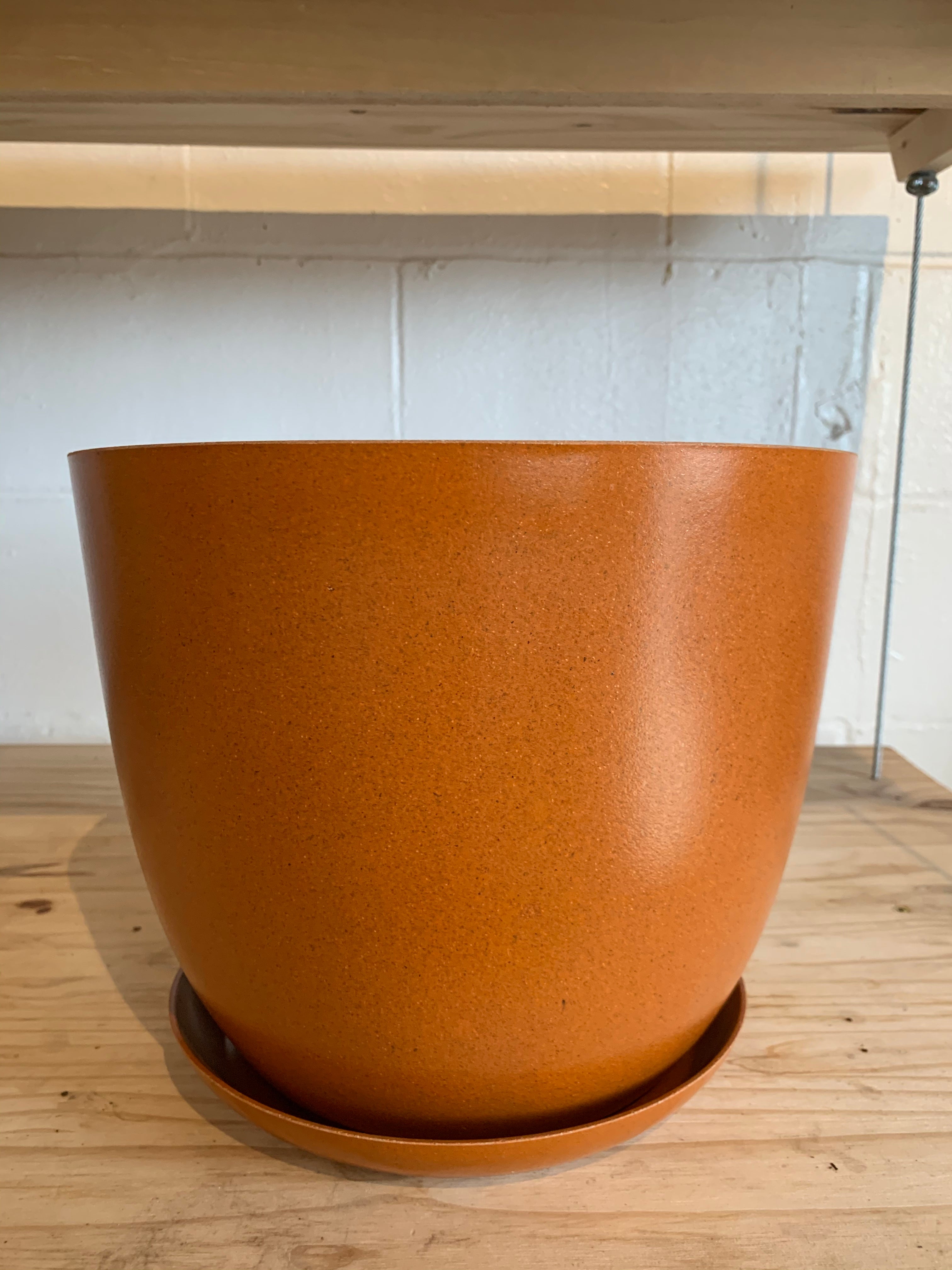 Ecoforms 10" Bowl