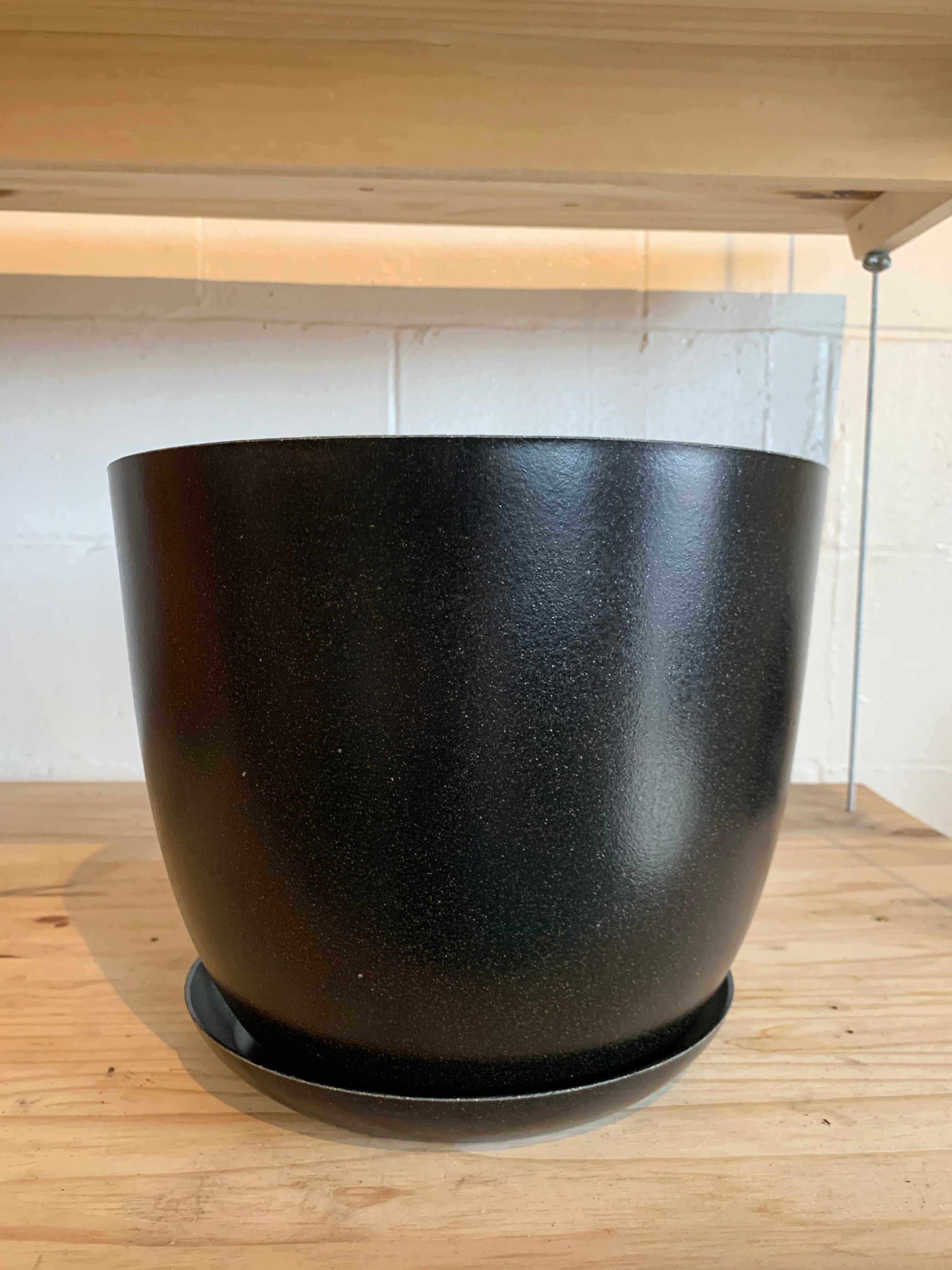 Ecoforms 10" Bowl