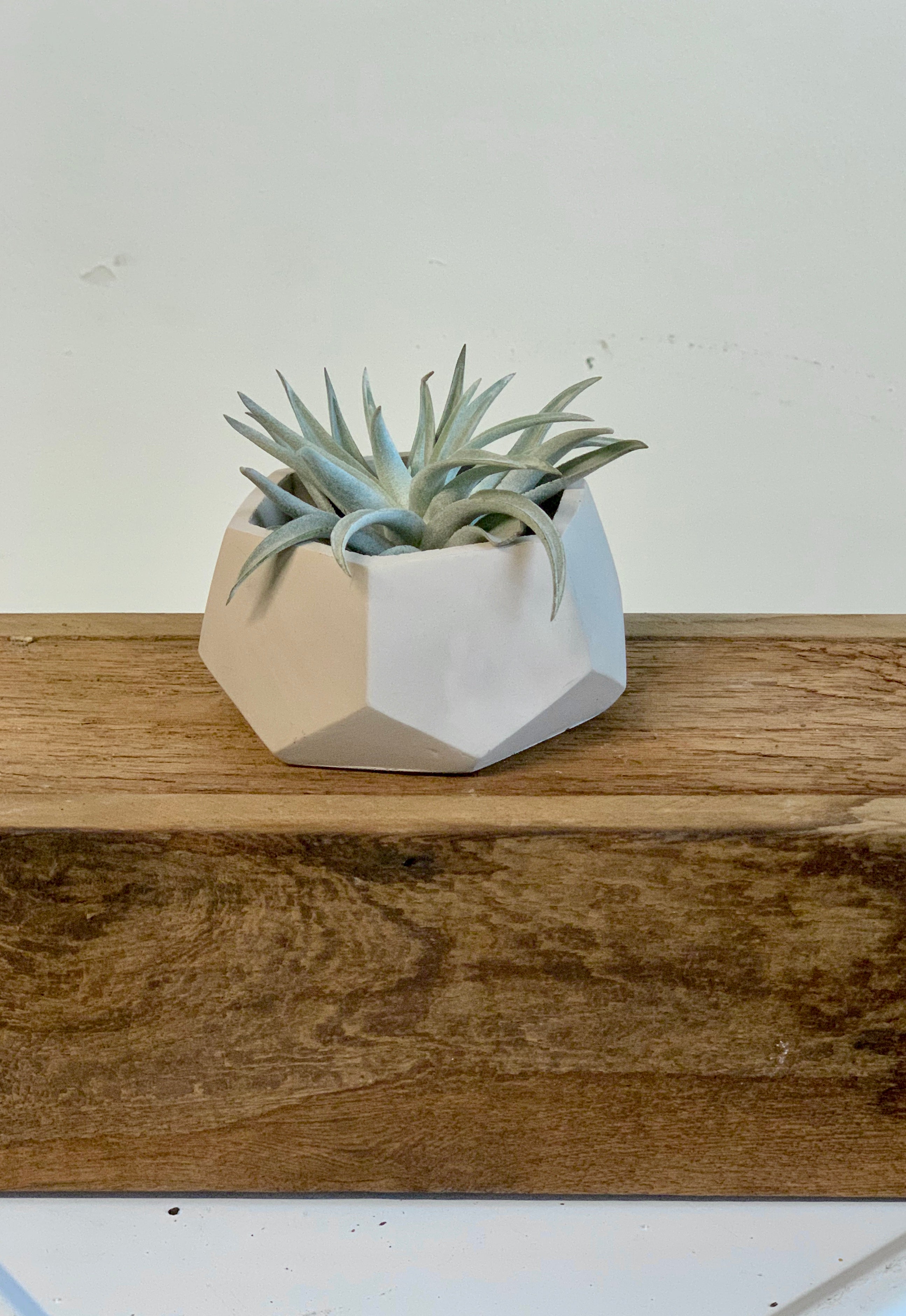 Hexagon Planter