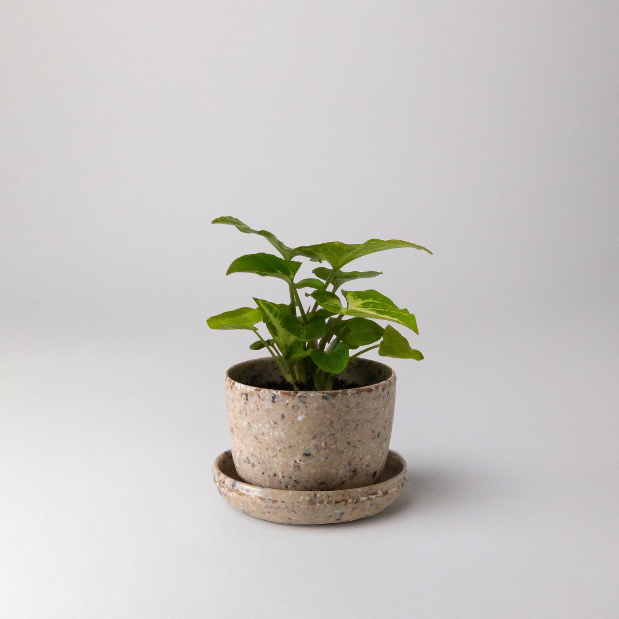 Kanso Mini Pots