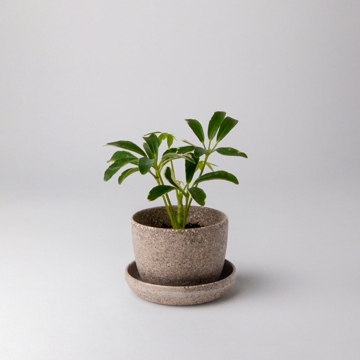 Kanso Mini Pots
