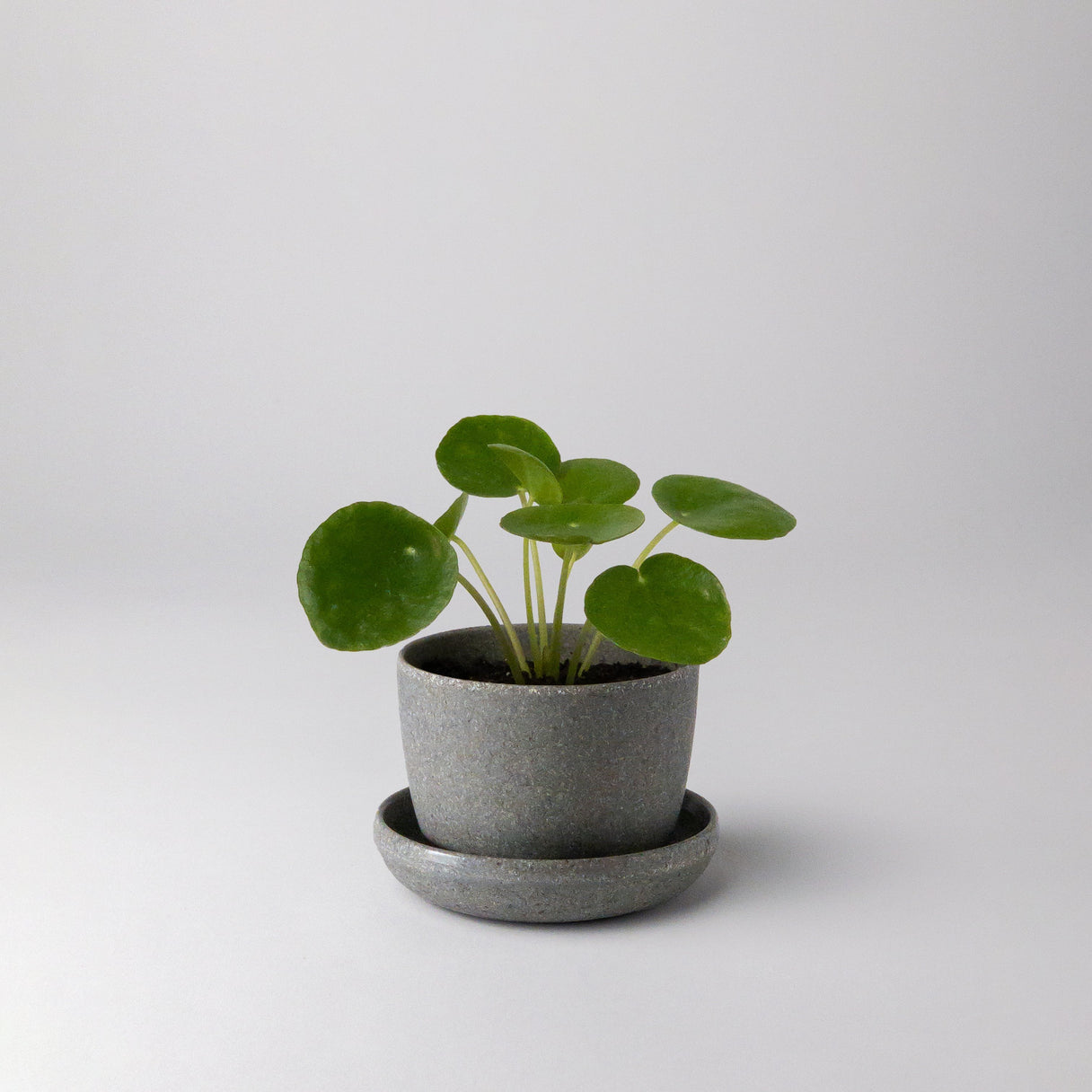 Kanso Mini Pots