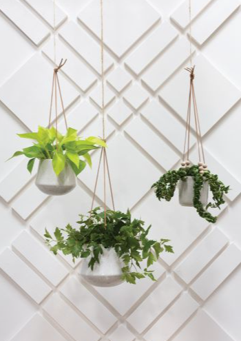 Kenzie Hanging Planters