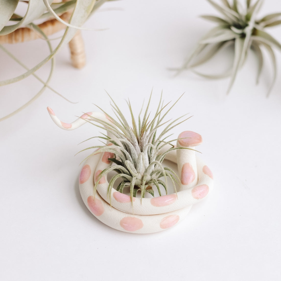 Ceramic Plant Snake