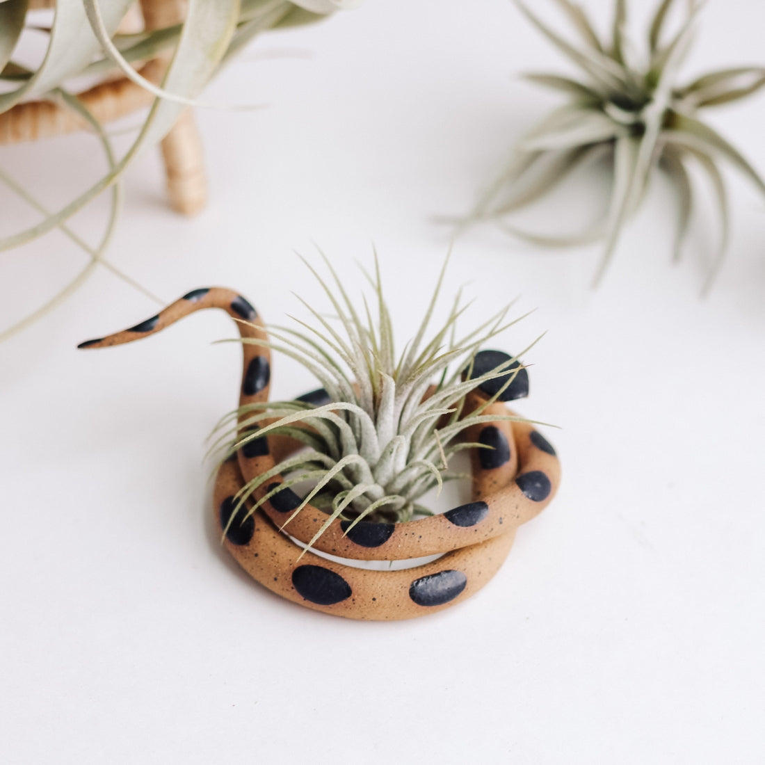 Ceramic Plant Snake