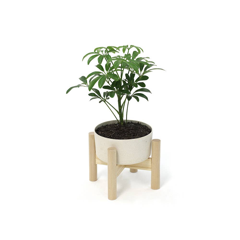 Wooden Tabletop Planter