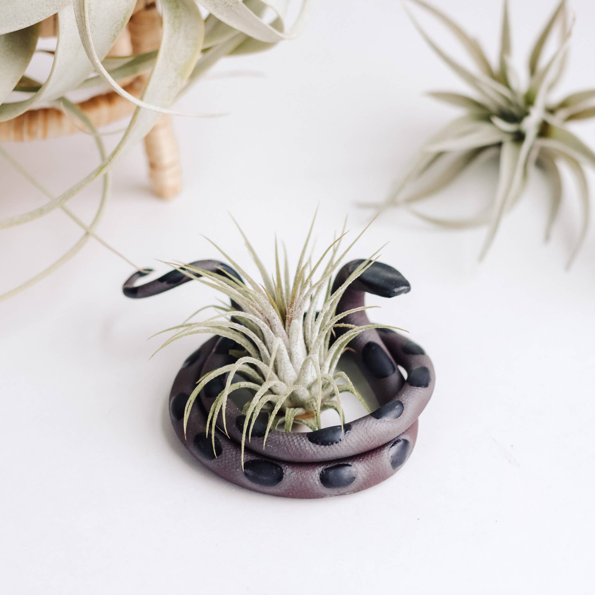 Ceramic Plant Snake